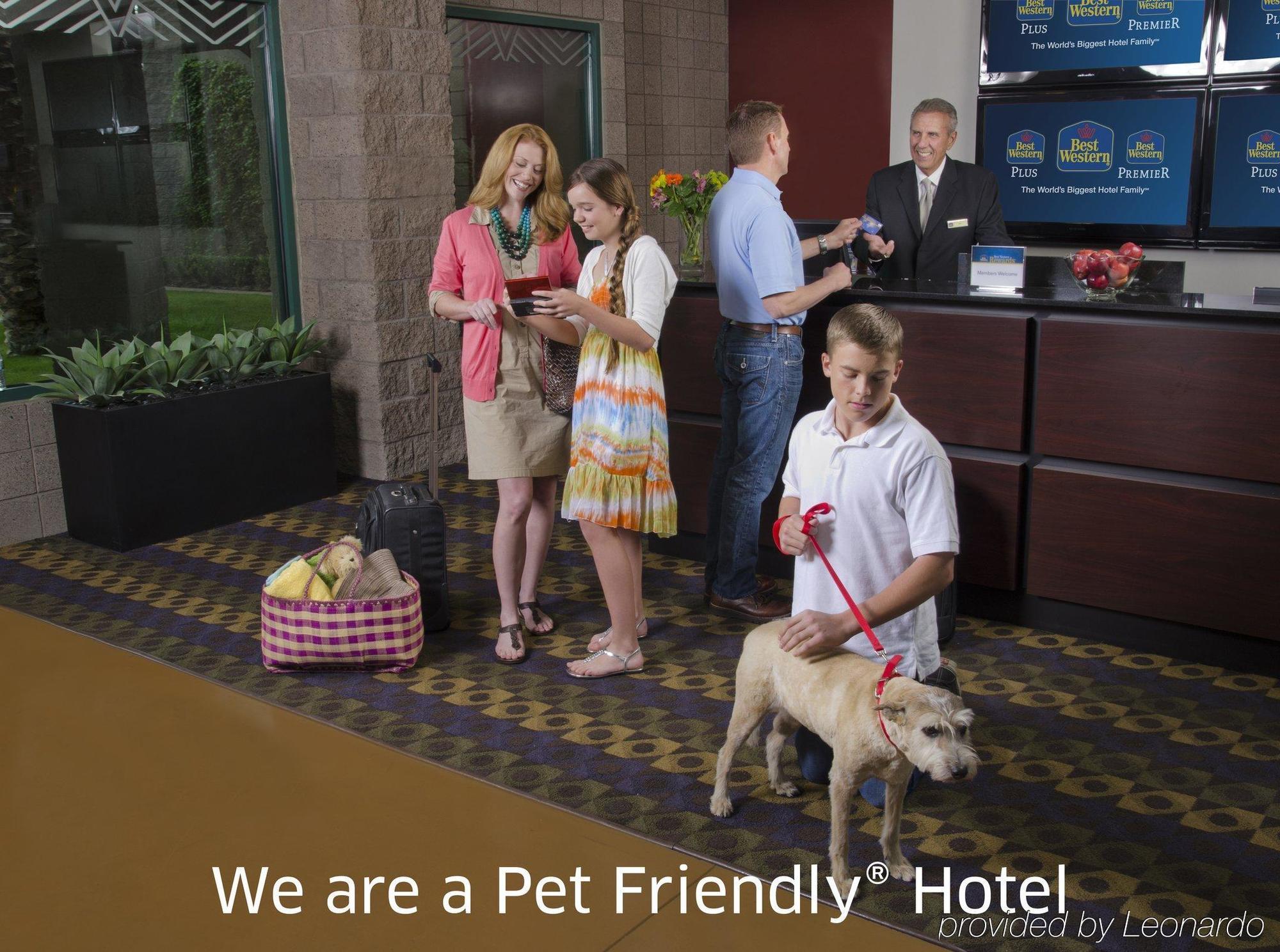 Best Western Plus A Wayfarer'S Inn & Suites Кингман Екстериор снимка